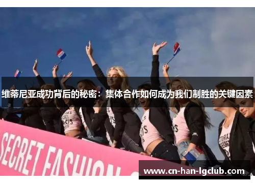 维蒂尼亚成功背后的秘密:集体合作如何成为我们制胜的关键因素 维蒂尼亚成功背后的秘密:集体合作如何成为我们制胜的关键因素