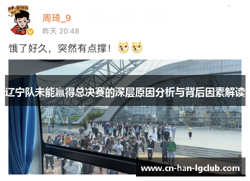 辽宁队未能赢得总决赛的深层原因分析与背后因素解读
